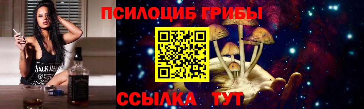 Галлюциногенные грибы мицелий  Вход с VPN  Протвино 